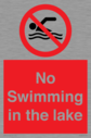 no-swimming-in-the-lake~